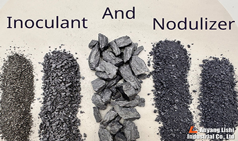 Inoculants and Nodulizers: Similarities and Differences